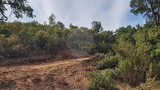 Land for sale in Silves, Portugal — €60,000