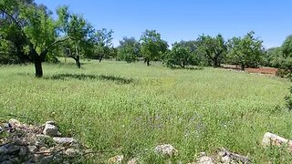 Land for sale in Loulé, Portugal — €45,000