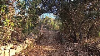 Terreno de 5680 m² em Faro