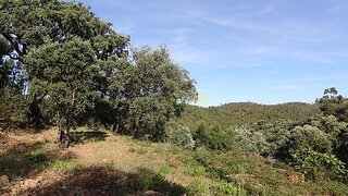 Land for sale in Monchique, Portugal — €118,000