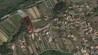 Land for sale in Ponte de Lima, Portugal — €50,000