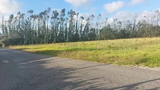 Terreno de 8973 m² em Leiria