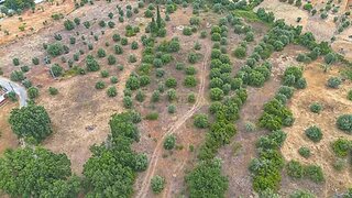 Land for sale in Torres Novas, Portugal — €15,000