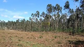 Land for sale in Barcelos, Portugal — €135,000