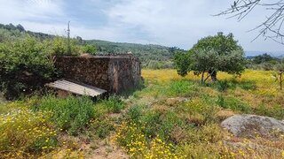Terreno em Trancoso
