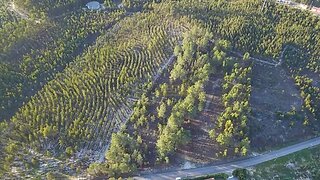 Land for sale in Rio Maior, Portugal — €250,000
