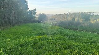 Terreno em Figueira da Foz