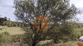Land for sale in Castro Marim, Portugal — €9,900