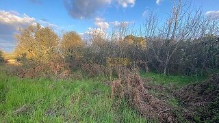 Land for sale in Tondela, Portugal — €31,000