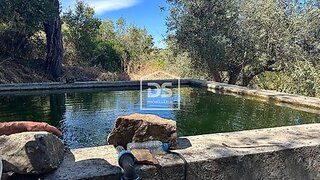 Terreno de 8560 m² em Castelo Branco