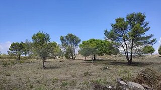 Land for sale in Cascais, Portugal — €1,650,000