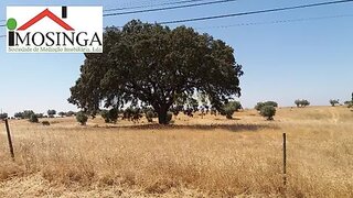 Land for sale in Ferreira do Alentejo, Portugal — €100,000