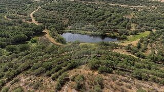 Land for sale in Mértola, Portugal — €560,000