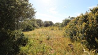 Land for sale in Silves, Portugal — €45,000