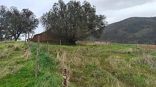 Terreno em Odemira