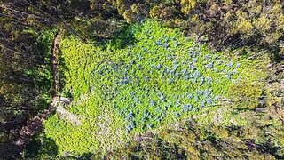 Land for sale in Santa Cruz, Portugal — €87,000
