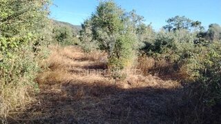 Terreno em Portalegre