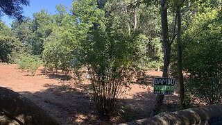 Land for sale in Caminha, Portugal — €120,000