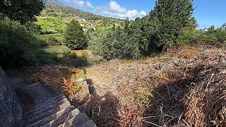 Land for sale in Santana, Portugal — €65,000