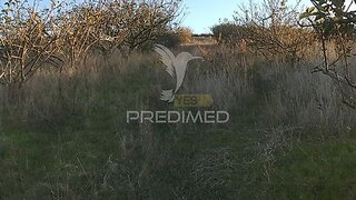Land for sale in Lourinhã, Portugal — €76,000