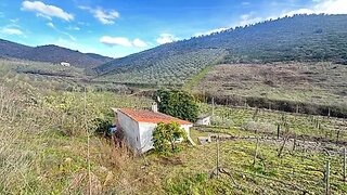 Land for sale in Freixo de Espada à Cinta, Portugal — €75,000
