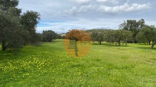 Land for sale in São Brás de Alportel, Portugal — €46,150