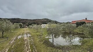 Land for sale in Tabuaço, Portugal — €99,000