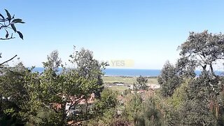Terreno de 6700 m² em Viana do Castelo