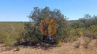 Land for sale in Castro Marim, Portugal — €39,000