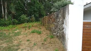 Land for sale in Oliveira de Azeméis, Portugal — €51,000