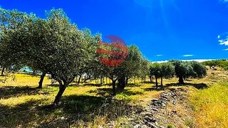 Land for sale in Mêda, Portugal — €130,000