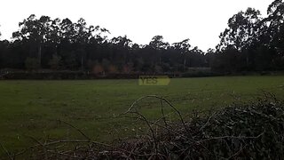 Land for sale in Esposende, Portugal — €28,000