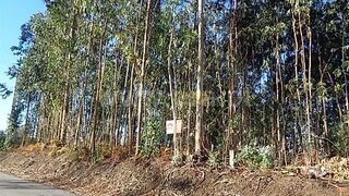 Terreno · 2800 m² · 16 000 €