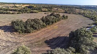 Land for sale in Torres Novas, Portugal — €250,000