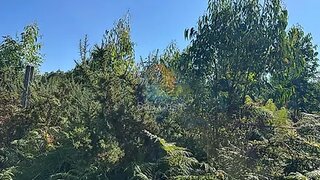 Land for sale in Fafe, Portugal — €57,000