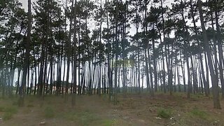 Land for sale in Marinha Grande, Portugal — €55,000