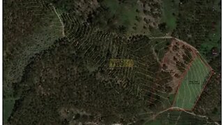 Terreno · 3179 m² · 5000 €
