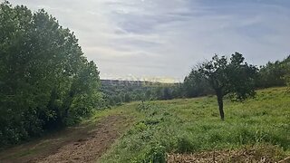 Land for sale in Albergaria-a-Velha, Portugal — €28,000
