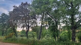 Land for sale in Guarda, Portugal — €25,000
