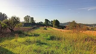 Land for sale in Estarreja, Portugal — €45,000