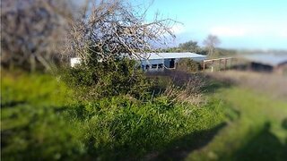 Terreno de 50 000 m² em Santarém