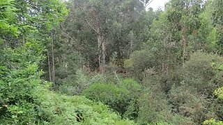 Terreno de 3140 m² em Viana do Castelo
