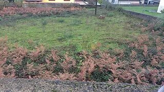 Land for sale in Vila Nova de Cerveira, Portugal — €39,500