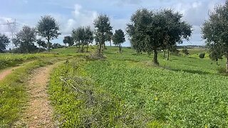 Land for sale in Sines, Portugal — €150,000