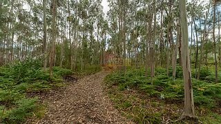 Land for sale in Vila Nova de Gaia, Portugal — €49,500