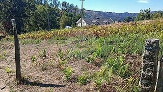 Land for sale in Castro Daire, Portugal — €29,000