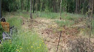 Land for sale in Tondela, Portugal — €41,000