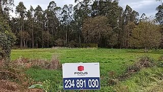 Land for sale in Estarreja, Portugal — €35,000