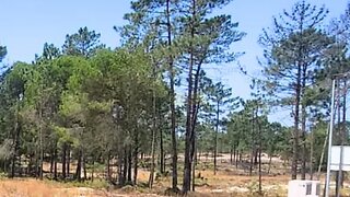Land for sale in Alcácer do Sal, Portugal — €985,000
