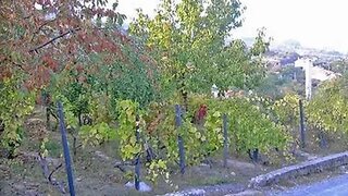 Land for sale in Lamego, Portugal — €25,000